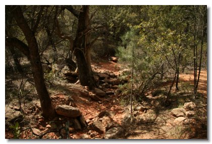 S (28)   Fay Canyon River Bed